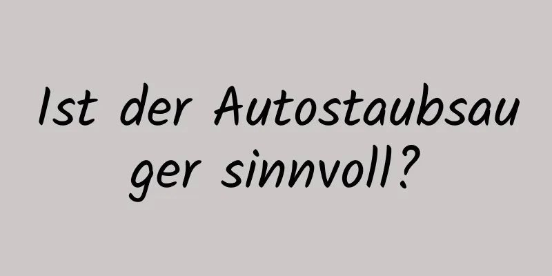 Ist der Autostaubsauger sinnvoll?