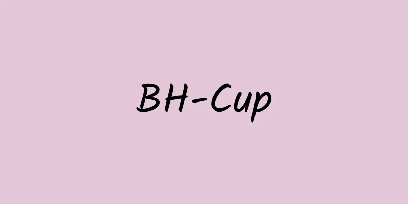 BH-Cup