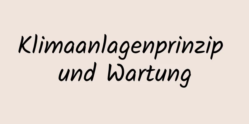 Klimaanlagenprinzip und Wartung