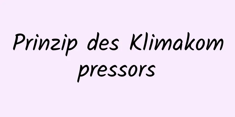 Prinzip des Klimakompressors