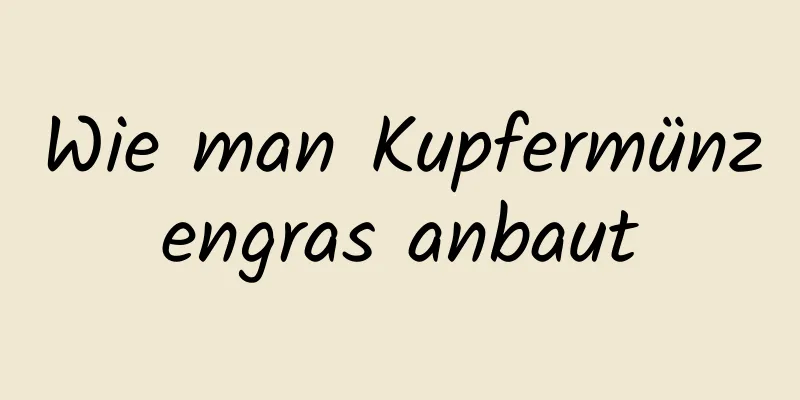 Wie man Kupfermünzengras anbaut