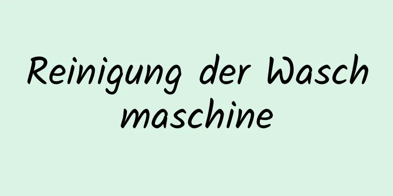 Reinigung der Waschmaschine