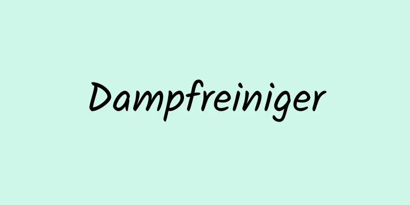 Dampfreiniger