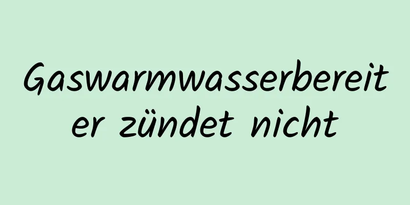 Gaswarmwasserbereiter zündet nicht