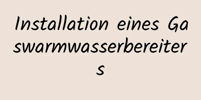 Installation eines Gaswarmwasserbereiters