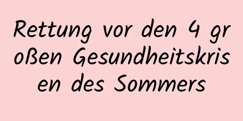 Rettung vor den 4 großen Gesundheitskrisen des Sommers
