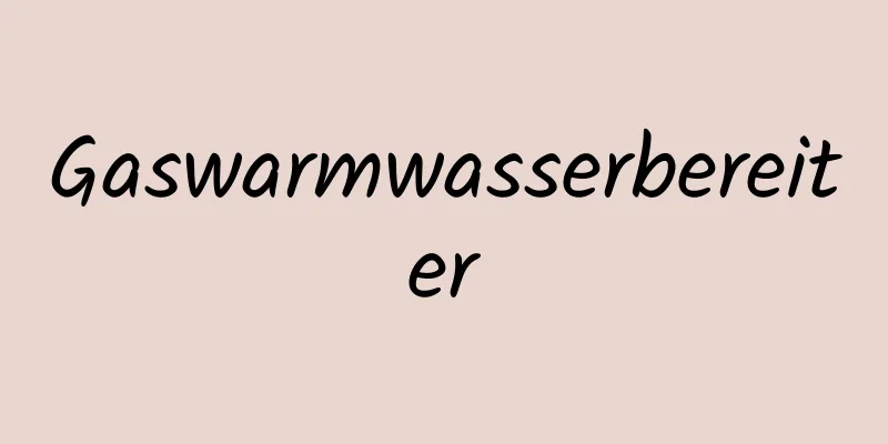 Gaswarmwasserbereiter
