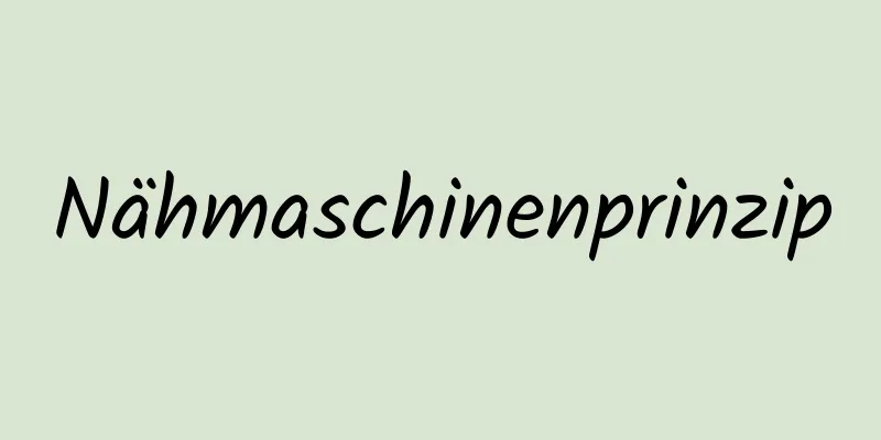 Nähmaschinenprinzip