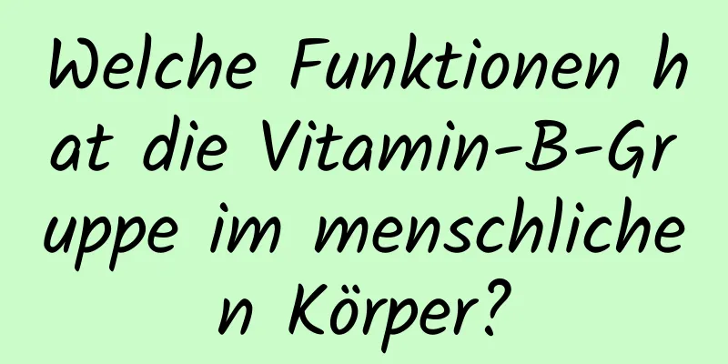 Welche Funktionen hat die Vitamin-B-Gruppe im menschlichen Körper?