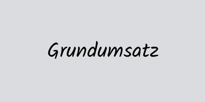 Grundumsatz
