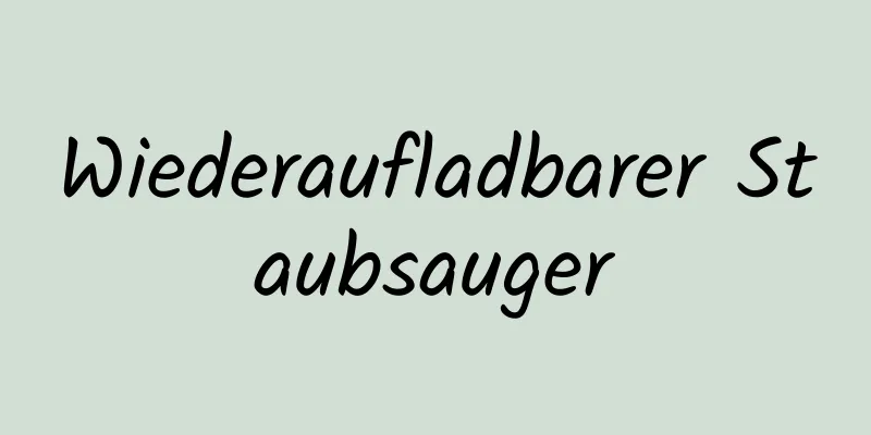 Wiederaufladbarer Staubsauger