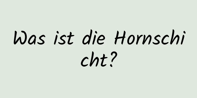 Was ist die Hornschicht?
