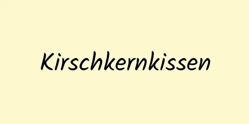 Kirschkernkissen