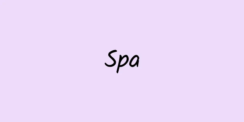 Spa