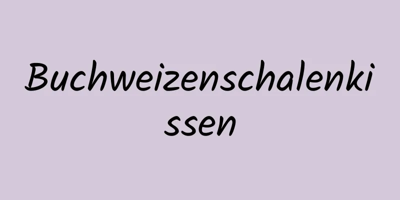 Buchweizenschalenkissen
