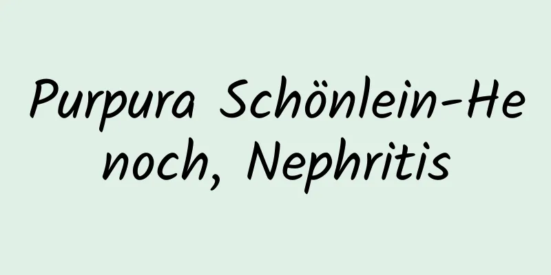 Purpura Schönlein-Henoch, Nephritis