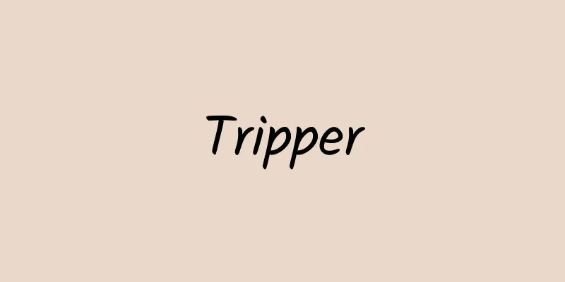 Tripper