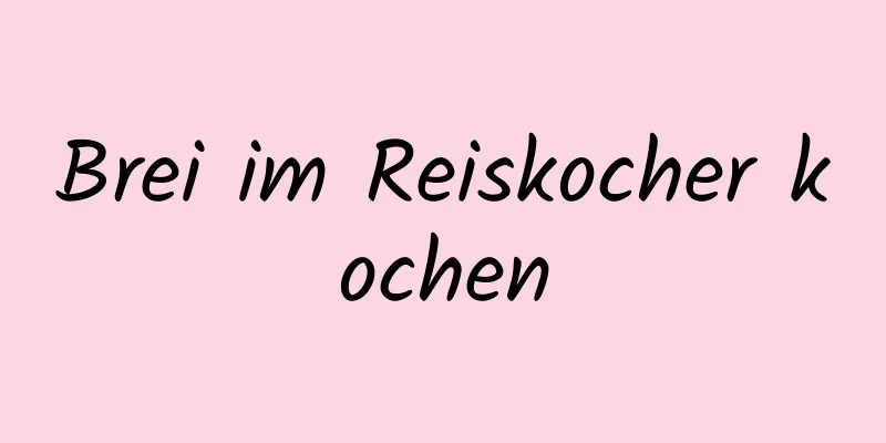Brei im Reiskocher kochen