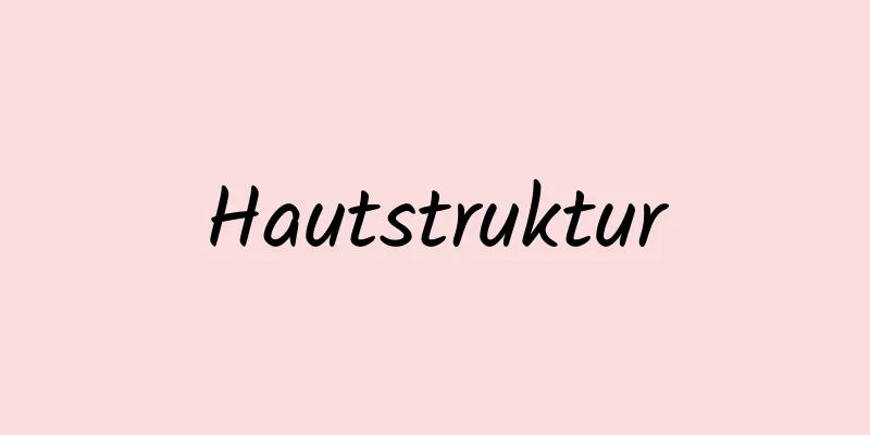 Hautstruktur