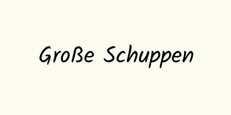 Große Schuppen