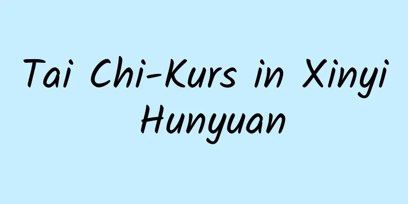 Tai Chi-Kurs in Xinyi Hunyuan