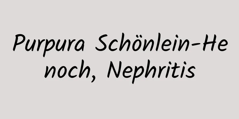 Purpura Schönlein-Henoch, Nephritis
