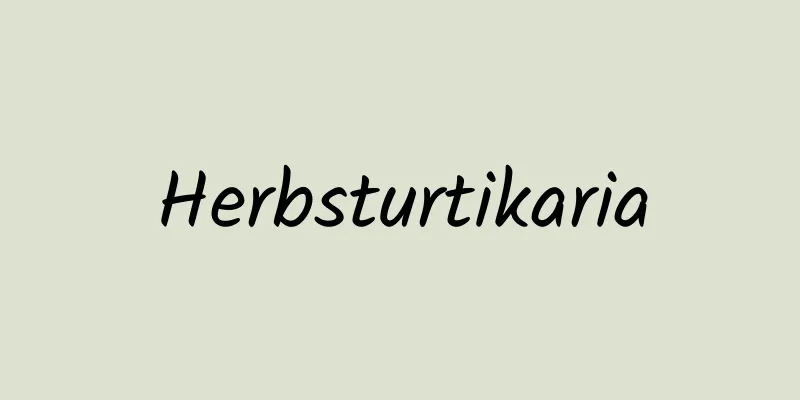 Herbsturtikaria