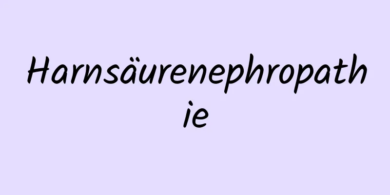 Harnsäurenephropathie