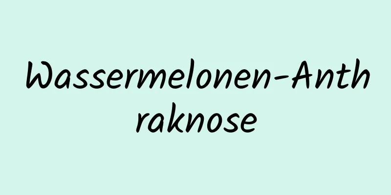 Wassermelonen-Anthraknose