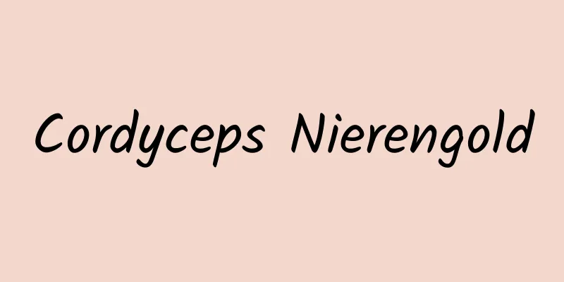 Cordyceps Nierengold