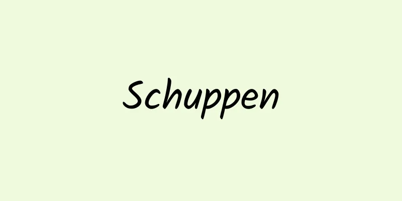Schuppen