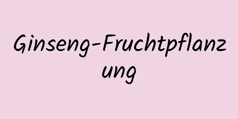Ginseng-Fruchtpflanzung