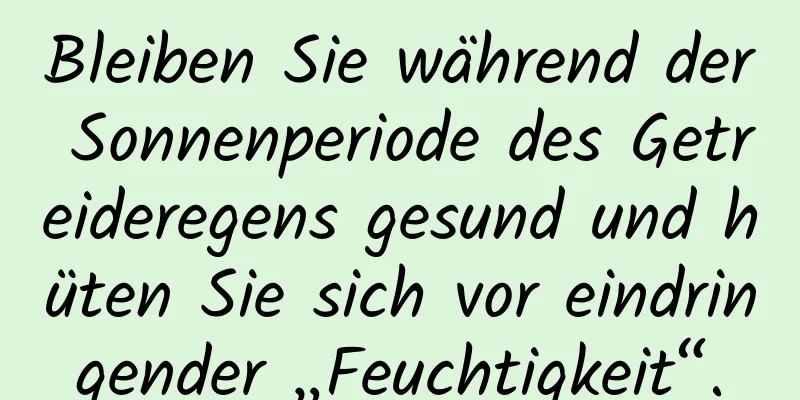 Bleiben Sie während der Sonnenperiode des Getreideregens gesund und hüten Sie sich vor eindringender „Feuchtigkeit“.