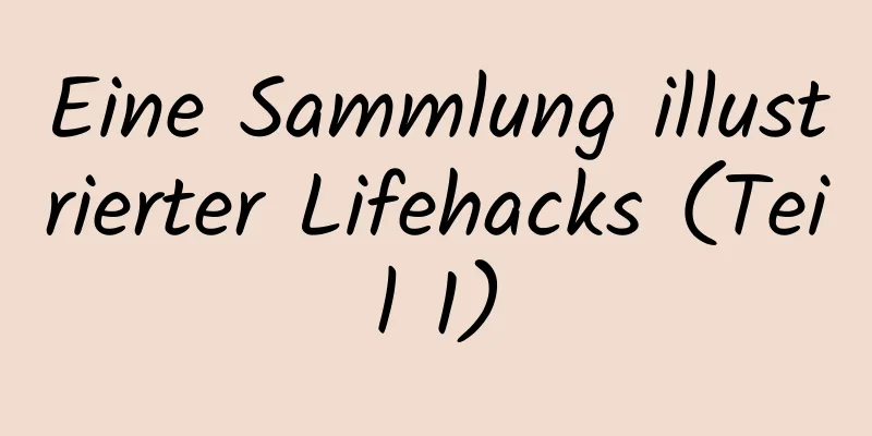 Eine Sammlung illustrierter Lifehacks (Teil 1)