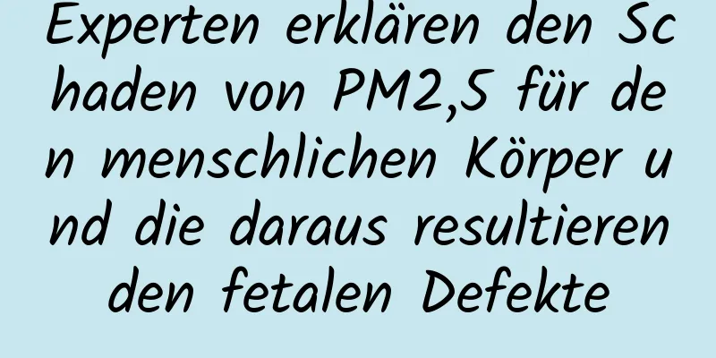 Experten erklären den Schaden von PM2,5 für den menschlichen Körper und die daraus resultierenden fetalen Defekte