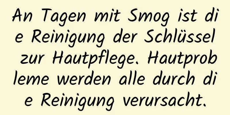 An Tagen mit Smog ist die Reinigung der Schlüssel zur Hautpflege. Hautprobleme werden alle durch die Reinigung verursacht.
