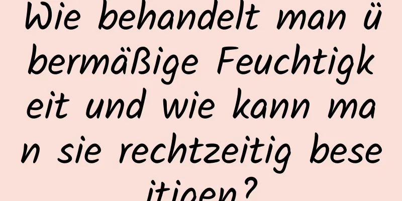 Wie behandelt man übermäßige Feuchtigkeit und wie kann man sie rechtzeitig beseitigen?