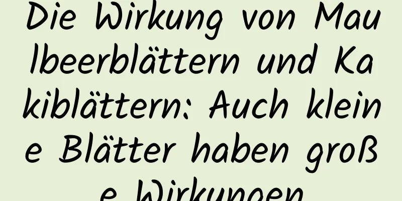 Die Wirkung von Maulbeerblättern und Kakiblättern: Auch kleine Blätter haben große Wirkungen