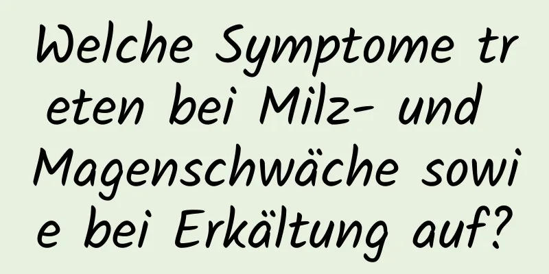 Welche Symptome treten bei Milz- und Magenschwäche sowie bei Erkältung auf?