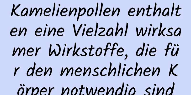Kamelienpollen enthalten eine Vielzahl wirksamer Wirkstoffe, die für den menschlichen Körper notwendig sind