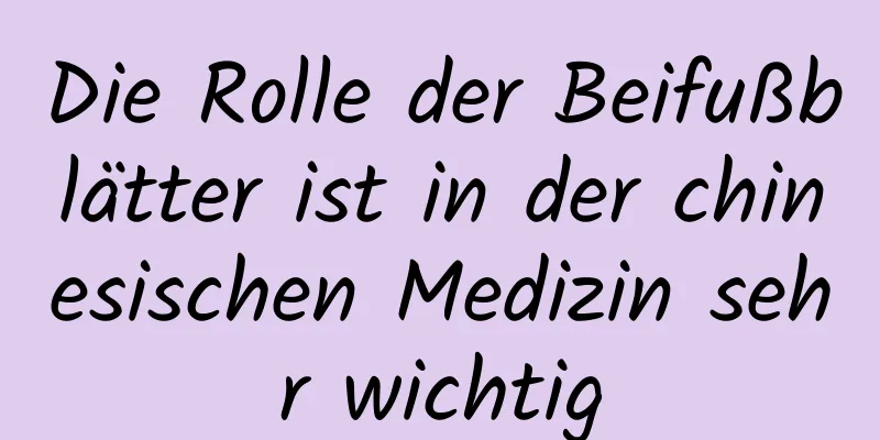 Die Rolle der Beifußblätter ist in der chinesischen Medizin sehr wichtig