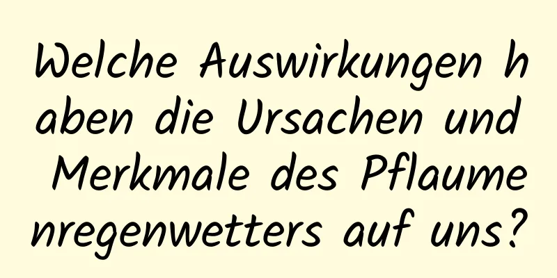 Welche Auswirkungen haben die Ursachen und Merkmale des Pflaumenregenwetters auf uns?