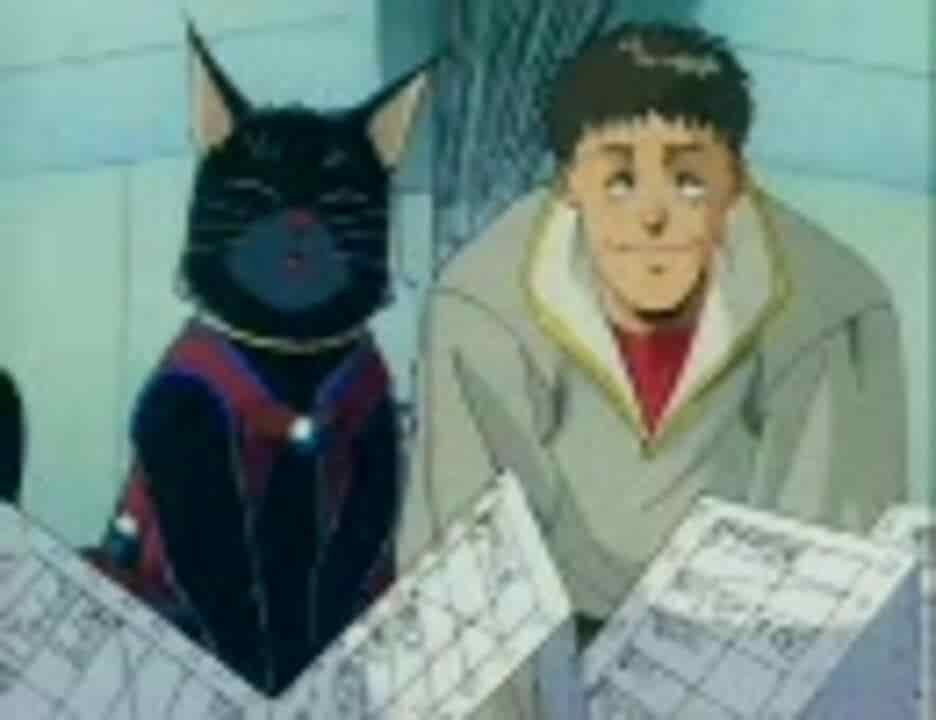 Der Reiz und die Kritiken zu "The Enemy is a Pirate: A Feast of Cats": Ein Must-See-Anime für Katzenliebhaber