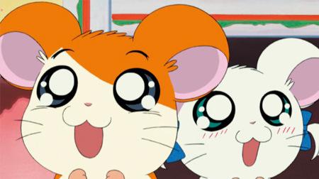 Hamtaro: Eine gründliche Überprüfung der Hamstergeschichte von Heilung und Abenteuer