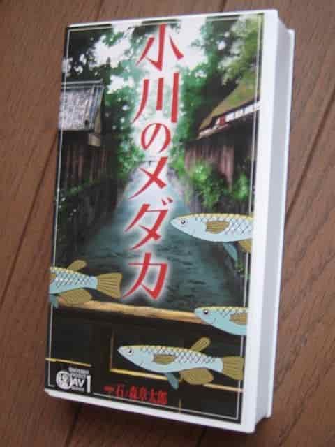 „Ogawa no Medaka“: Rezension und Empfehlung aufgrund der charmanten Charaktere und der tiefgründigen Geschichte