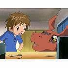 Reiz und Kritiken zu „Digimon Tamers“: Ein bewegendes Abenteuer mit realistischem Weltbild und tiefgründiger Story