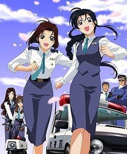 Der Reiz und die Bewertung von "You're Under Arrest [ZWEITE STAFFEL]": Die Tiefe und Charakterentwicklung der Fortsetzung