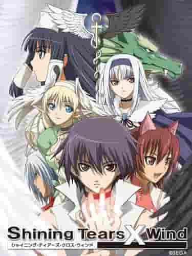 Der Reiz und die Kritiken zu "Shining Tears X Wind": Eine gründliche Analyse der berührenden Geschichte und Charaktertiefe
