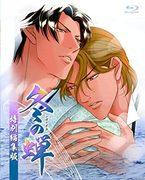 Detaillierte Rezension und Bewertung von Winter Cicadas: Special Edition