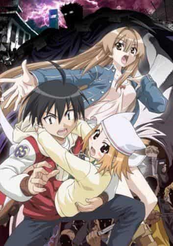 Der Reiz und die Bewertung von Seto no Hanayome OVA: Eine tiefere Geschichte und die Entwicklung der Charaktere